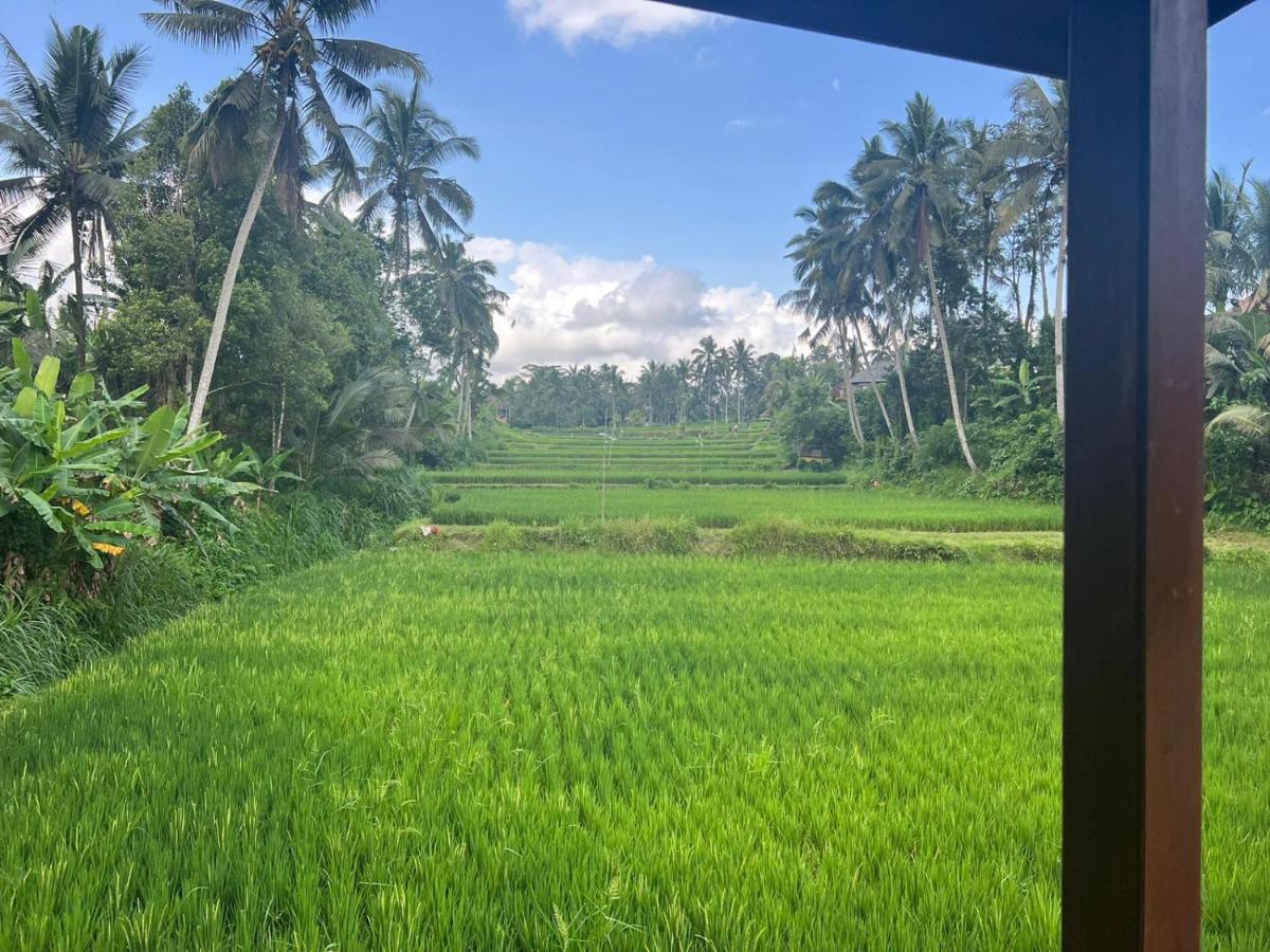 Ubud Sawah Scenery Villa And Homestay Tegallalang (Bali) Exterior foto