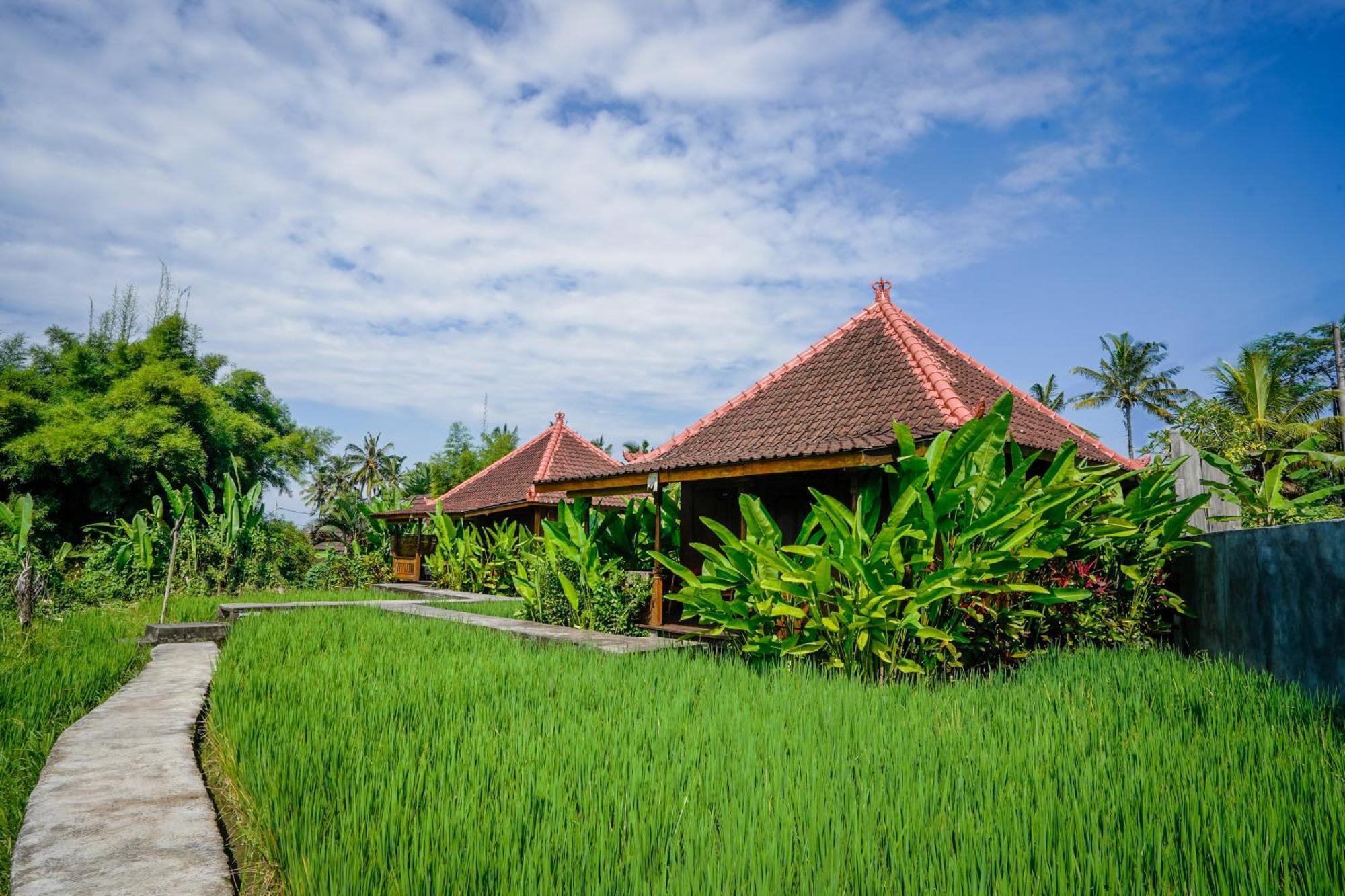 Ubud Sawah Scenery Villa And Homestay Tegallalang (Bali) Exterior foto