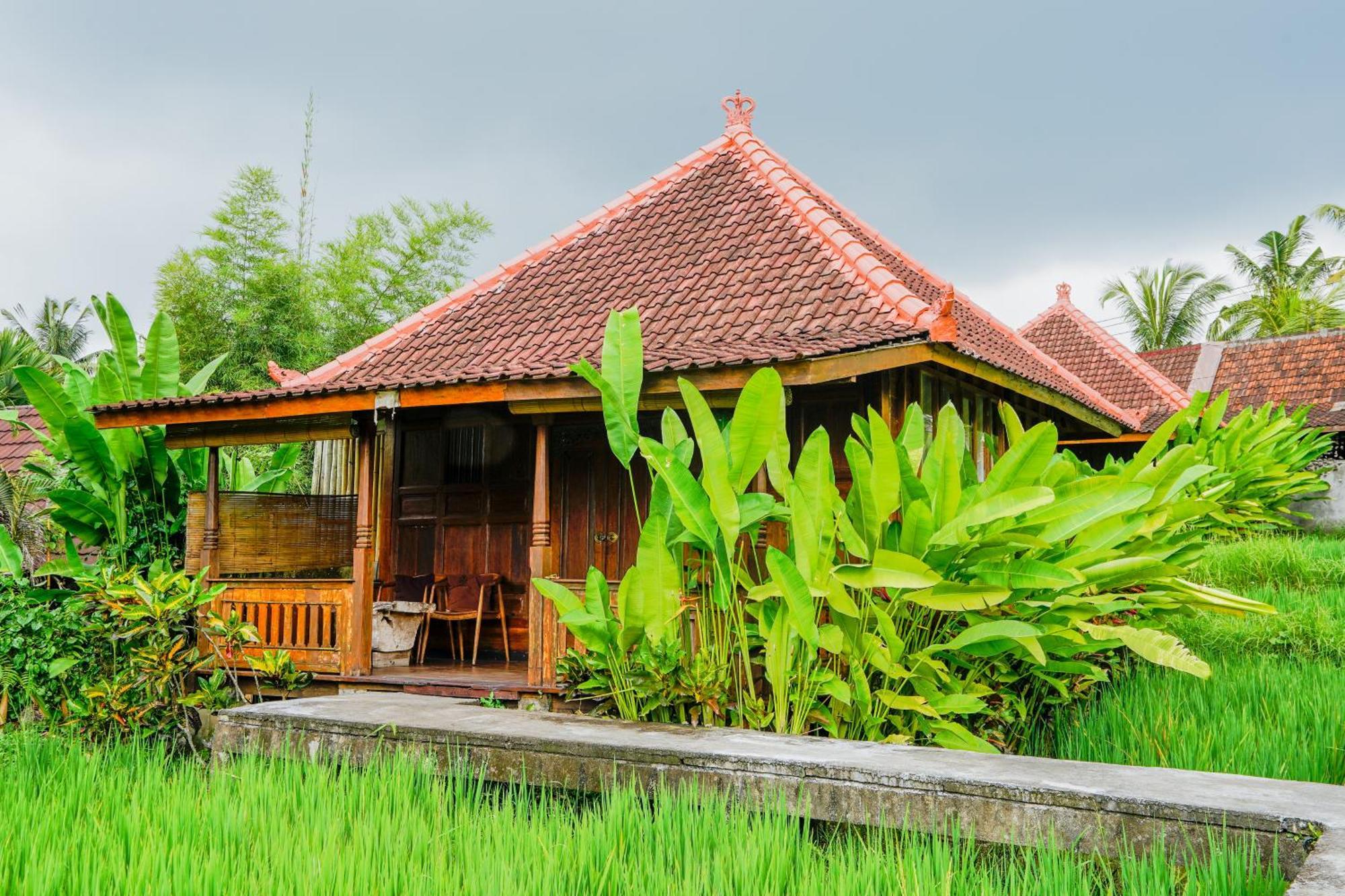 Ubud Sawah Scenery Villa And Homestay Tegallalang (Bali) Exterior foto