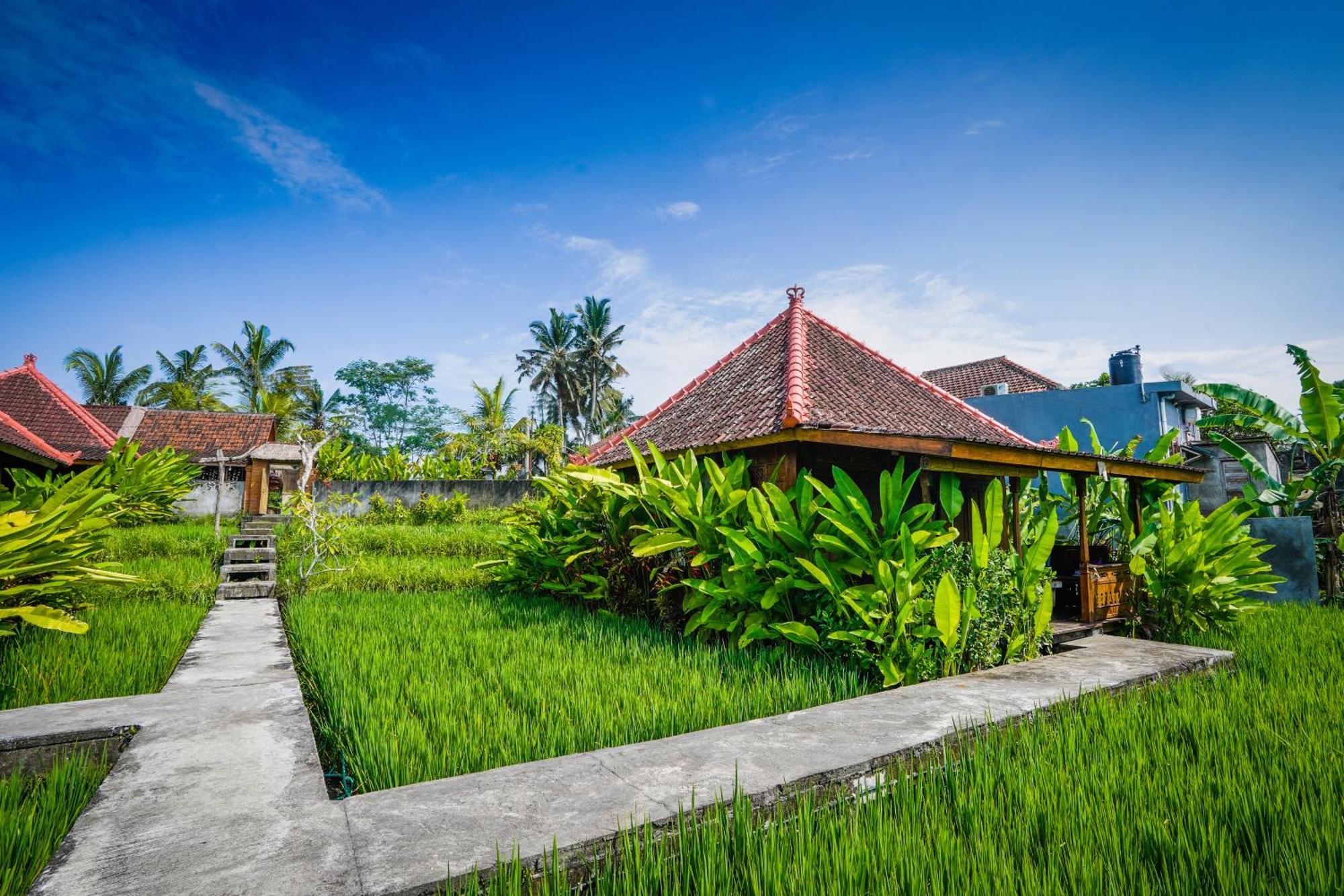Ubud Sawah Scenery Villa And Homestay Tegallalang (Bali) Exterior foto