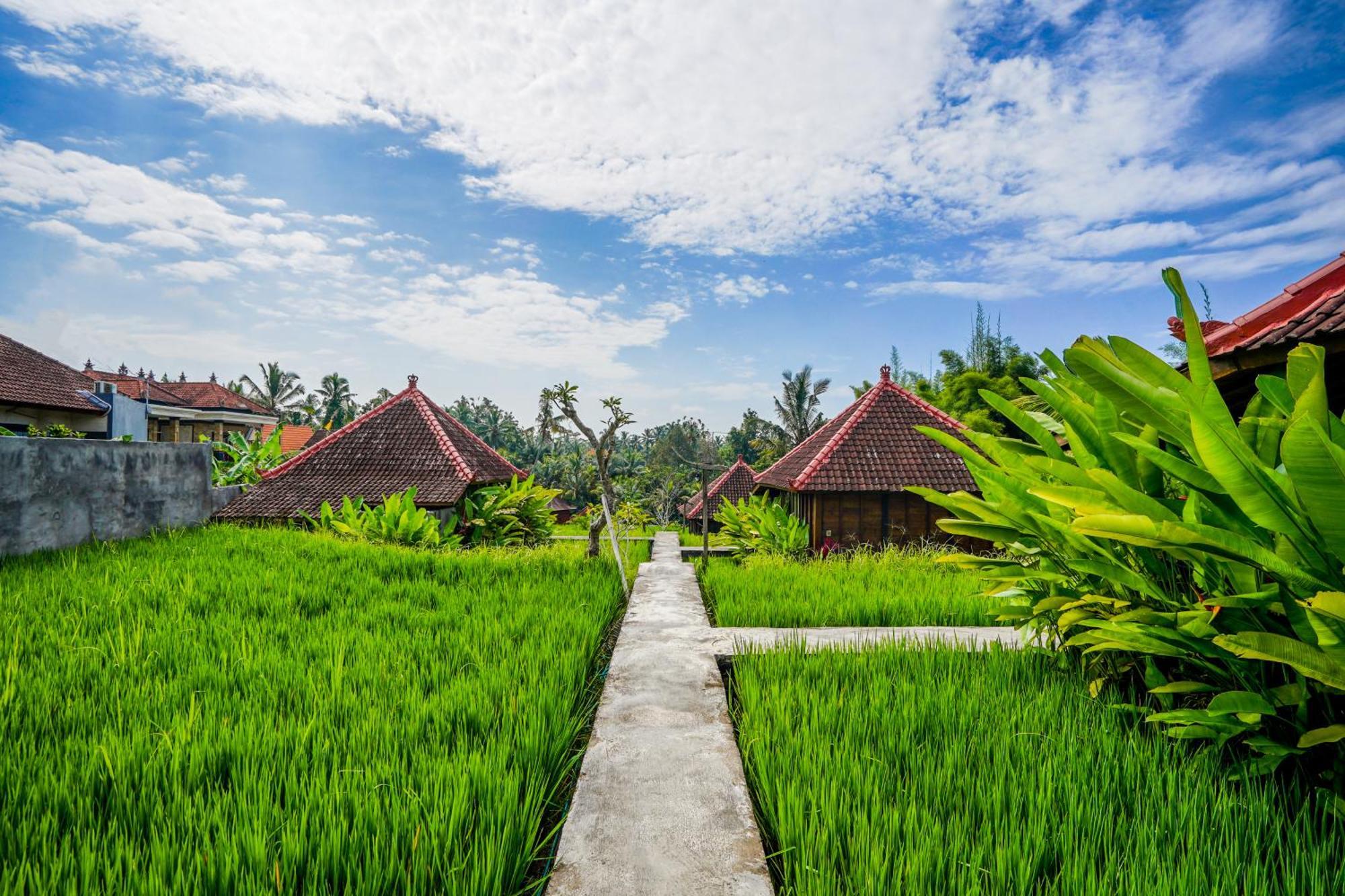 Ubud Sawah Scenery Villa And Homestay Tegallalang (Bali) Exterior foto