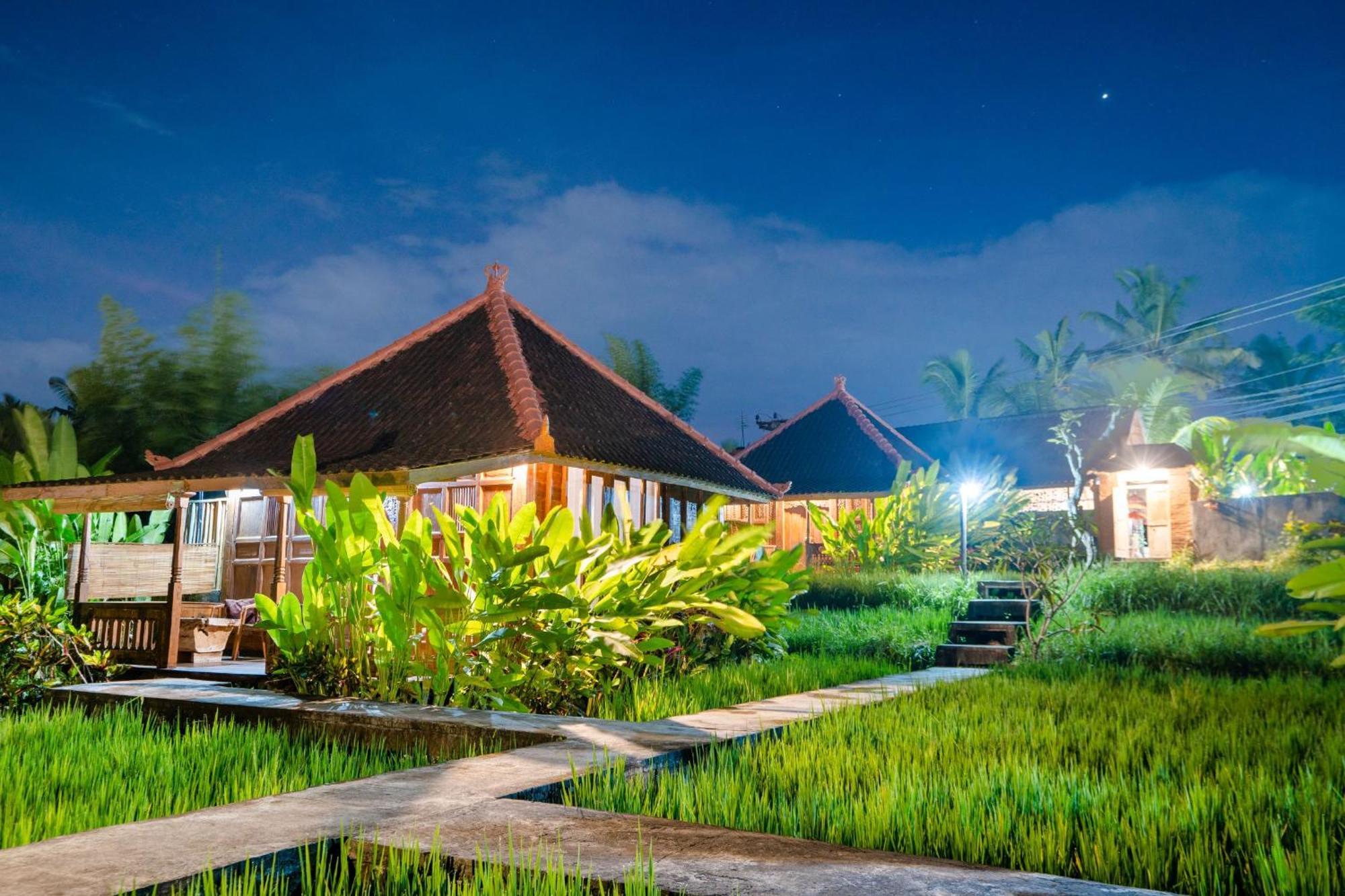 Ubud Sawah Scenery Villa And Homestay Tegallalang (Bali) Exterior foto