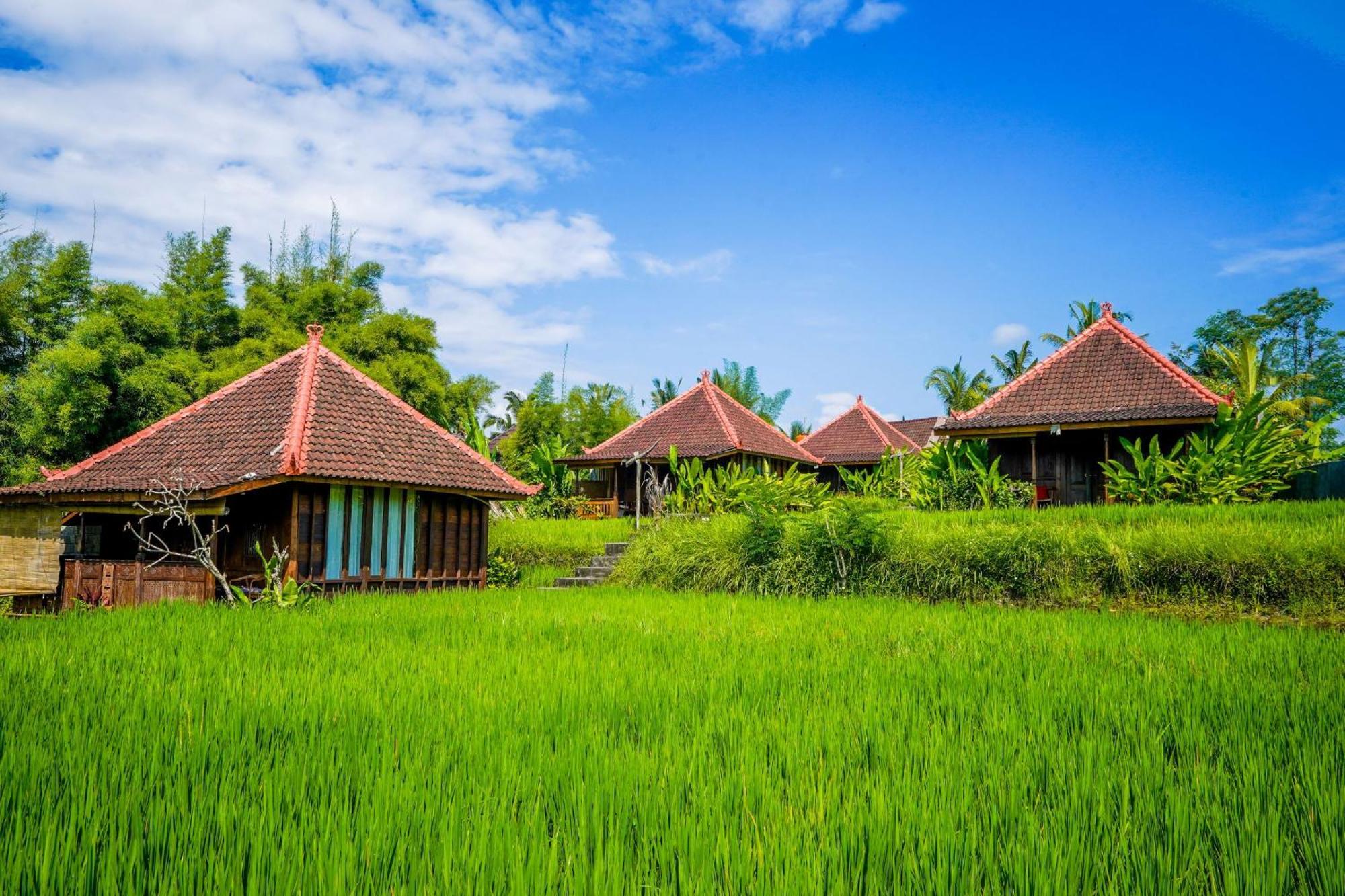 Ubud Sawah Scenery Villa And Homestay Tegallalang (Bali) Exterior foto